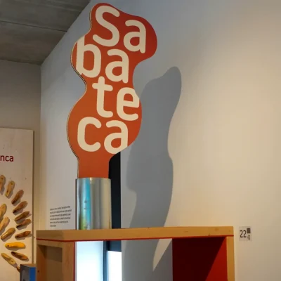 EDUCACIÓ (5)